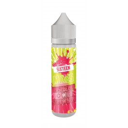 Premix Virtus Sixteen Mixes Raspberry + Wild Strawberry - Aromatyczna malina z poziomką 40 ml